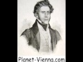 Joseph Lanner - Hoffnungsstrahlen (Waltz)