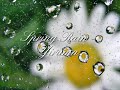 Yiruma – Spring rain