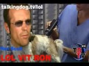 Perineum-LOL-VIT-RON