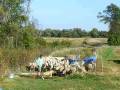 videos de CCF setout.AVI