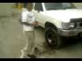 videos de Elmo-rro