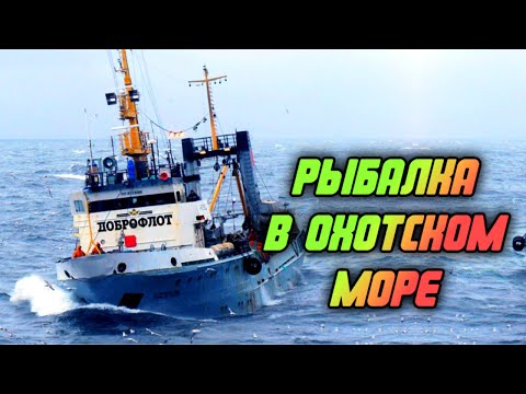 Крупнейший плавучий рыбозавод