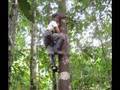 Assistir ao v�deo