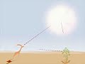The Gazelle And The Sun
