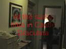Draculina