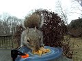 The second lesson in my self-taught Squirrel Videography course. Shot, as before, with the GoPro Hero HD camera. I cropped the 720p video frame down a little in iMovie.