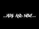Szampon's Trailer of the movie - Art of Fly
