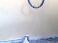 meu cao