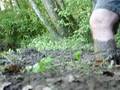 adv2008062703al