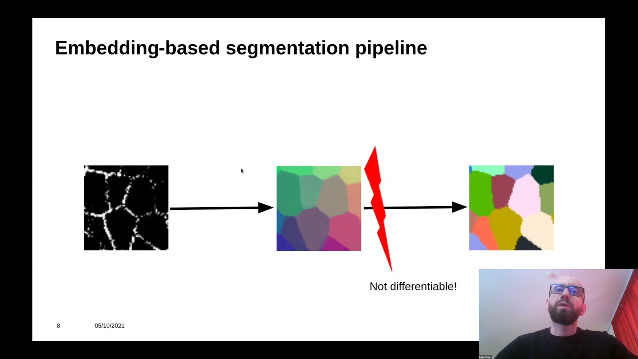 Adrian Wolny: “Embedding-based Instance Segmentation with Limited Supervision.”