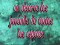 la chasse sous marine qu\