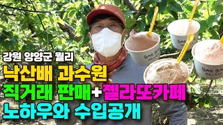 토생수