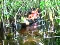 Roberto Carlos - Al�m do horizonte Ac�stico