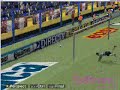 gol pro 6