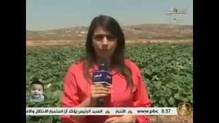 تعرف على قرية بيت لقيا مع الزميله ميساء عياد تعرف على قرية بيت لقيا مع الزميله ميساء عياد
