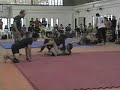 carlos paz submission 01 nera vs nose (cat. hasta 70kg)