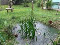 Nada melhor do que ouvir o murmurar da chuva que cai copiosamente!
Este é meu cantinho!