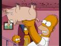 videos de Homer The Spiderpig