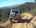 korando gris en alta y baja alcarria