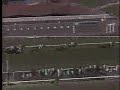 1987 Breeders Cup Turf - Theatrical -vs- Trempolino
