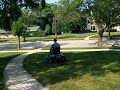 Mowing Lawn