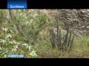 euronews   europeans    colombie