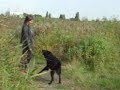 honden clip in nord op onze vlakte