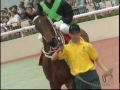 Silent Witness - The Legend Continues