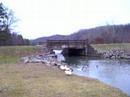 ducks!  part2