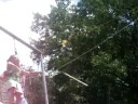 trapezee 2008-2