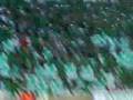 videos de OMONOIA-aek prasine 8ee