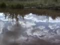 videos de Divide Creek Seep 2004 -- Gas expressing in beaver pond