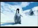 atak-ky-videolar-catakkoycom.html