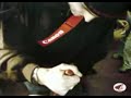 1� Honda4Educational