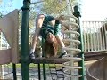 noelle noelle