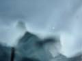 videos de Nadando con ballenas