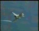 Swiss air force