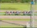 MAGNA AUSTRIAN DERBY 2007
