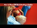 Weaning Off Breastfeeding a Toddler