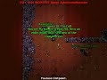 Tibia Hunt Novice