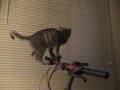 videos de Oops!.wmv