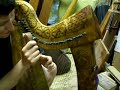 natalie tuning the wire strung harp 1
