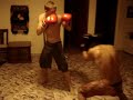 light home boxing