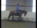 Training Butterfly