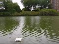 Storm Launcher first water run