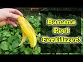Are Banana Peels Good For The Garden