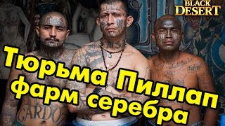 Black Desert (RU) - Спот для фарма в BDO: Тюрьма Пиллап (до 50 млн. в час) Black Desert (RU) - Спот для фарма в BDO: Тюрьма Пиллап (до 50 млн. в час)