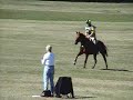 Middle T.N. Pony Club H.T. \