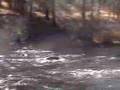 Truckee River Fly Fishing