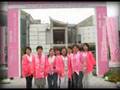 Avon Walk Around the World for Breast Cancer